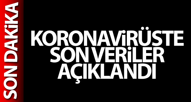 Türkiye'de son 24 saatte 6.454 koronavirüs vakası tespit edildi