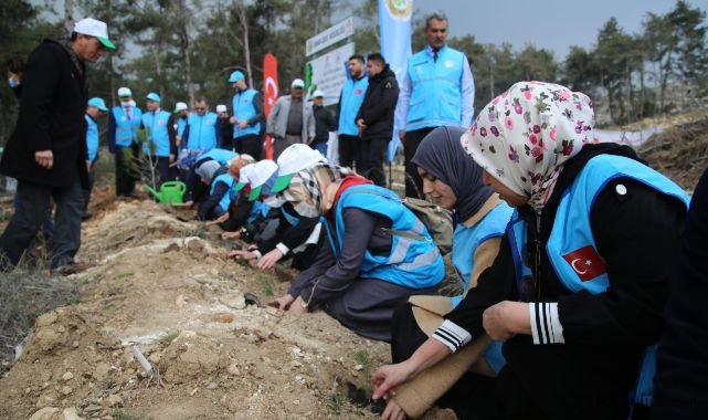 Mersin Tarsus’ta 115 bin fidan dikildi. 