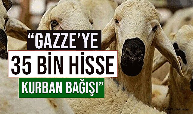 ERBAŞ;"Gazze'ye 35 bin hisse kurban bağışı oldu"