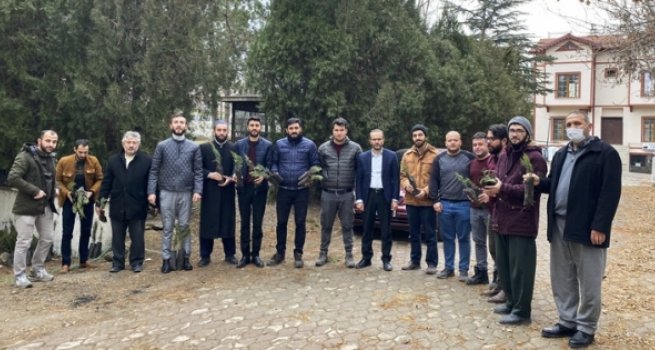 Cami bahçelerine fidan dikildi