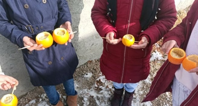 Kur'an kursu öğrencileri sokak hayvanları için yem bıraktı