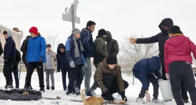 Kur'an kursu öğrencileri sokak hayvanları için yem bıraktı