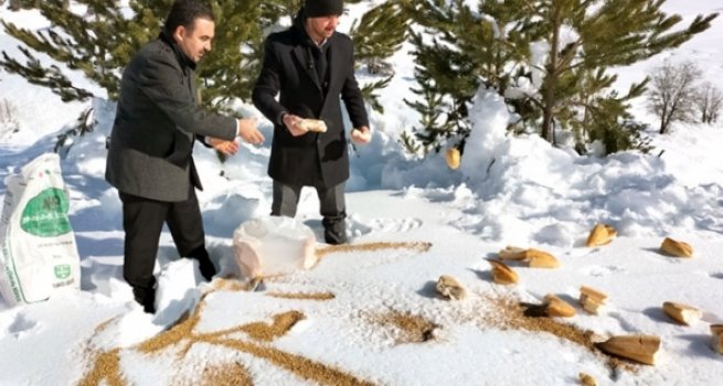 Müftülük yaban hayvanları için doğaya yem bıraktı