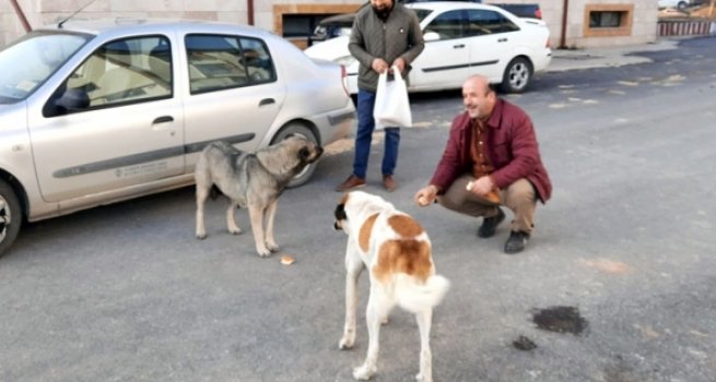 Sokak hayvanlarına din görevlileri sahip çıktı