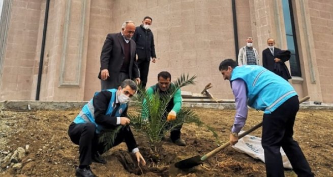 Trabzon'da 251 şehit için 251 fidan