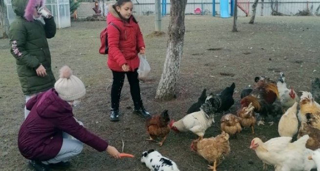 Yalovalı gençler 'Gençliğe Değer' projesiyle buluşuyor