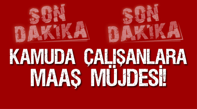 Kamuda çalışanları Maaşları 13 Haziran da
