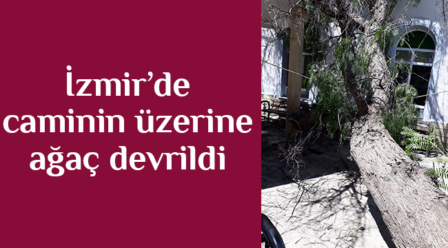 İzmir’de caminin üzerine ağaç devrildi