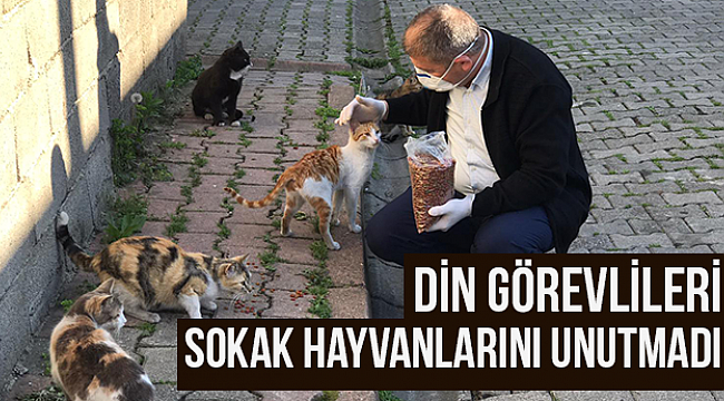 Din görevlileri sokak hayvanlarını unutmadı 