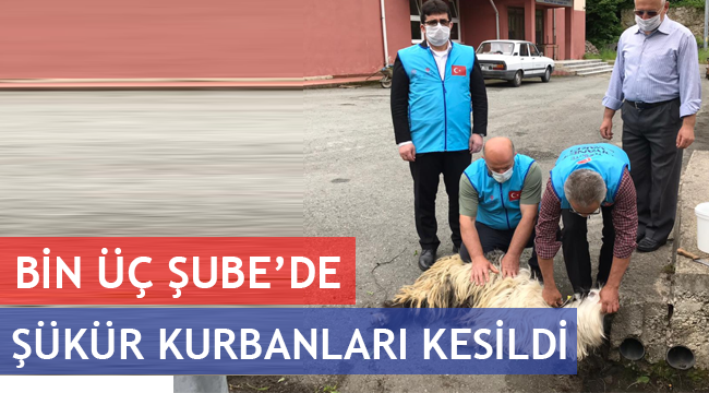 Bin Üç Şubede Şükür Kurbanları Kesildi 
