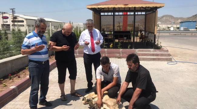 Kayseri’de Ayasofya için kurban kesildi