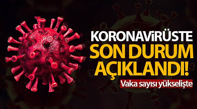22.02.2021 Tarihli koronavirüs vaka sayısı