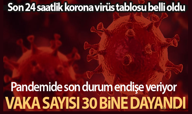 Son 24 saatte korona virüsten 216 kişi hayatını kaybetti