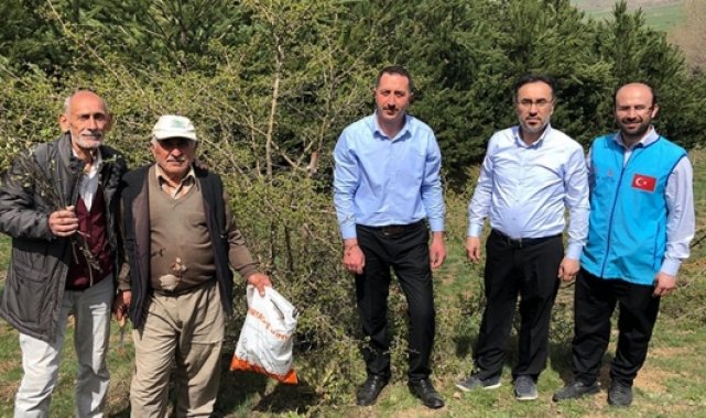 Ziraat fakültesi mezunu imam yabani ağaçları ıslah ediyor